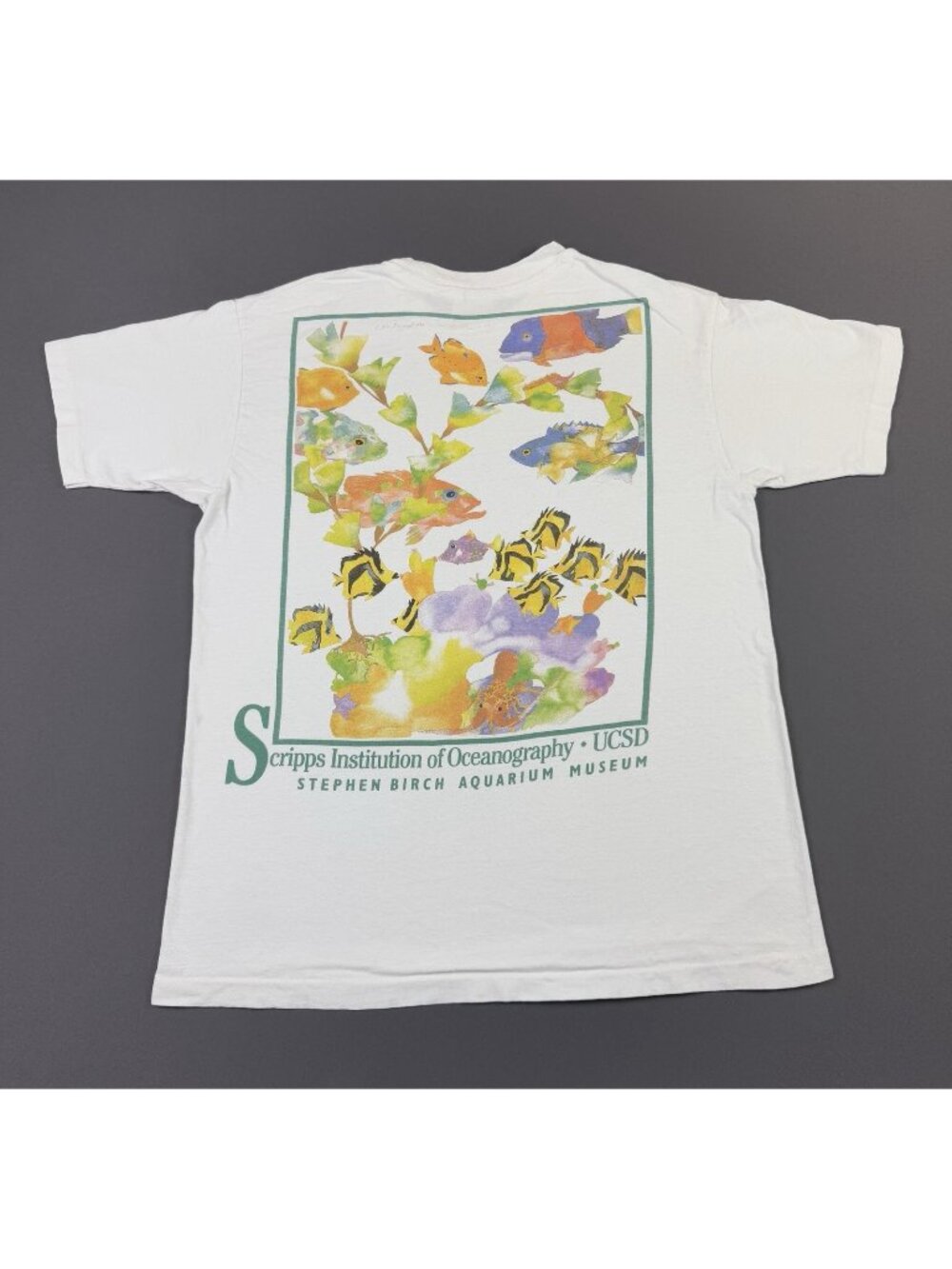 Rare Vintage 90s Scripps Institution Oceanography San Diego Stephen Birch Museum